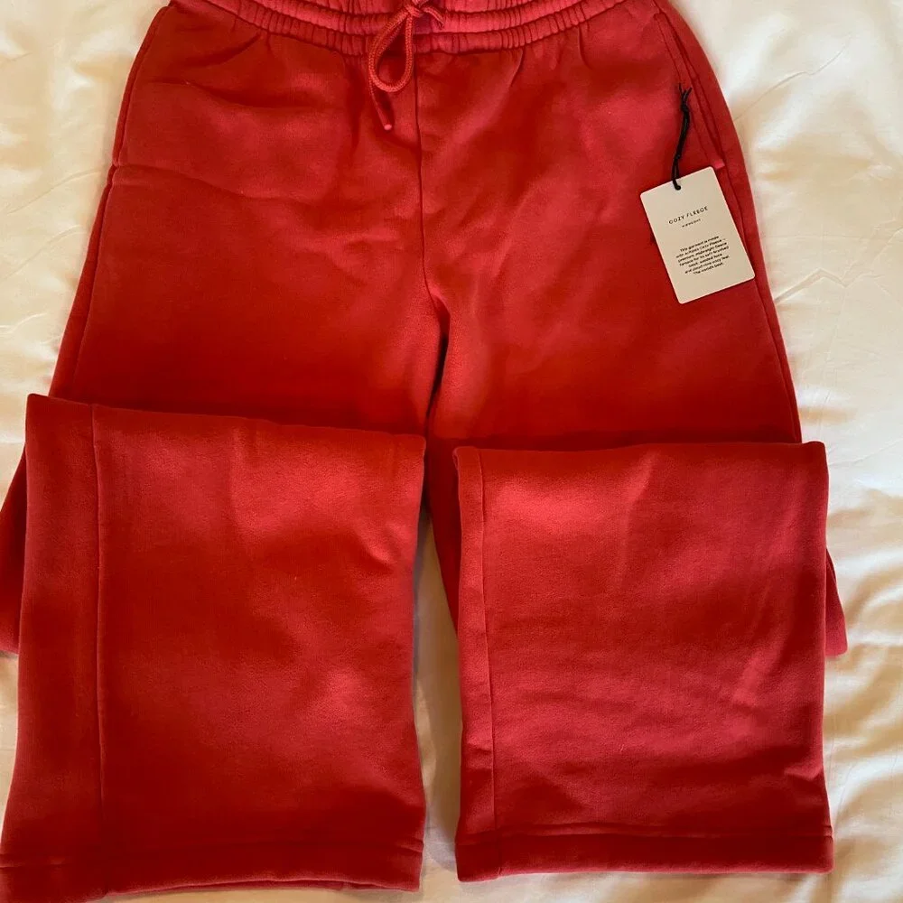 Aritzia Cozy Sweatfleece Boyfriend Wide Sweatpant - Picture 4 of 5